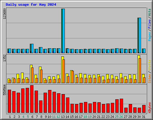 Daily usage for May 2024