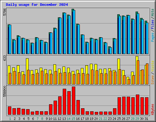Daily usage for December 2024