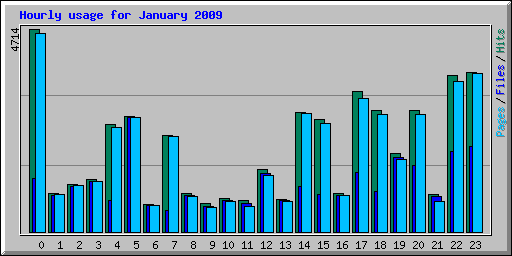 Hourly usage for January 2009