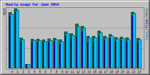 Hourly usage for June 2016