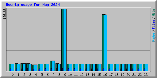 Hourly usage for May 2024