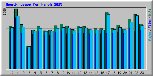 Hourly usage for March 2025