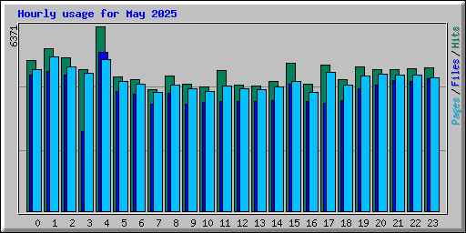 Hourly usage for May 2025