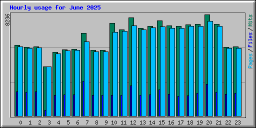 Hourly usage for June 2025