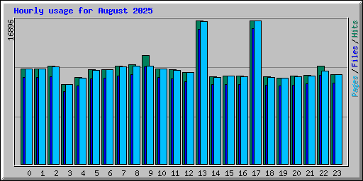 Hourly usage for August 2025