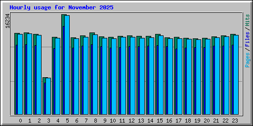 Hourly usage for November 2025