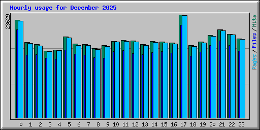 Hourly usage for December 2025